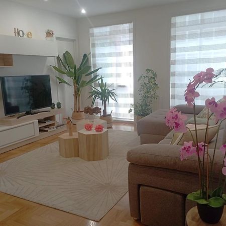 Super Apartamento Santiago サンティアゴ・デ・コンポステーラ エクステリア 写真